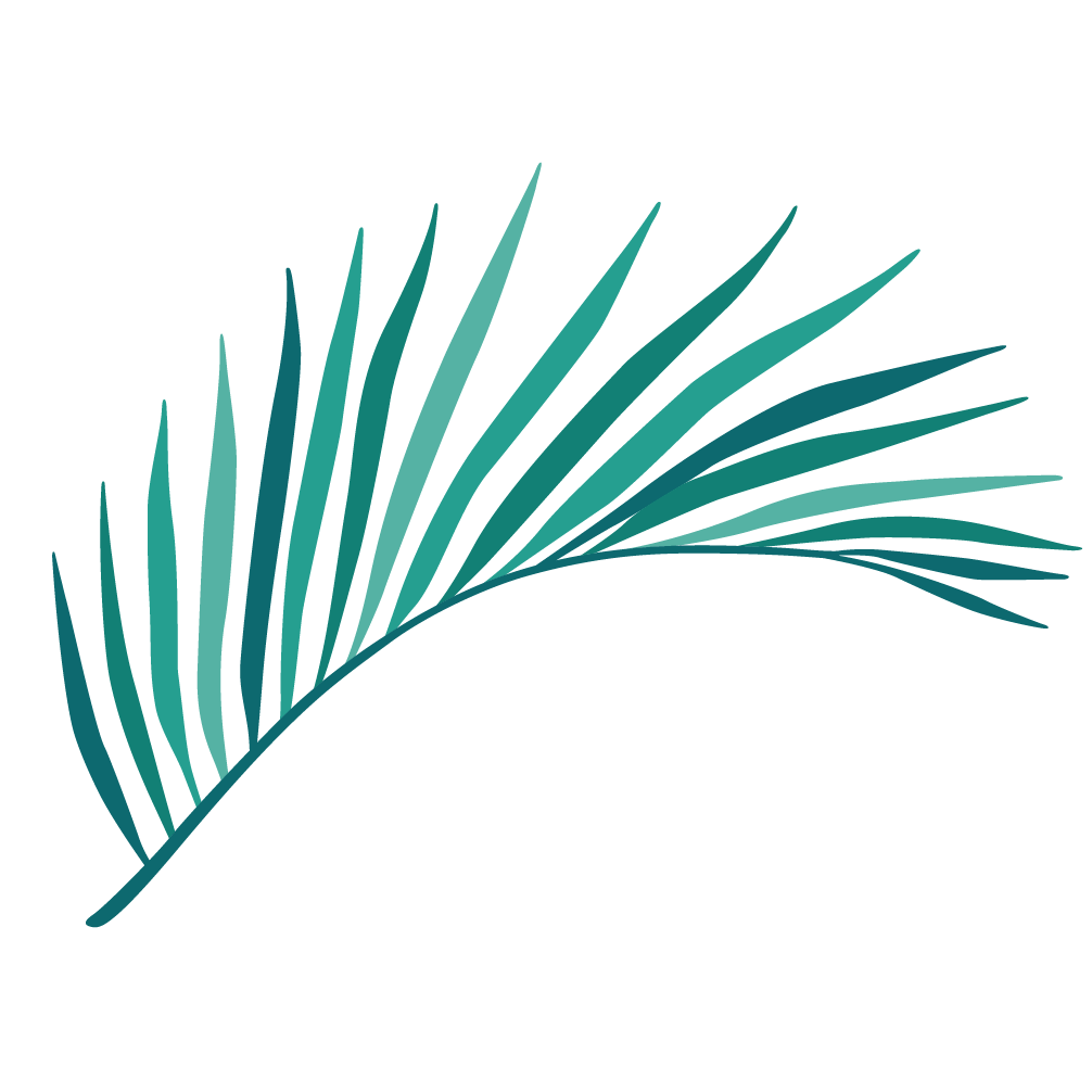 Baan Namsai logo