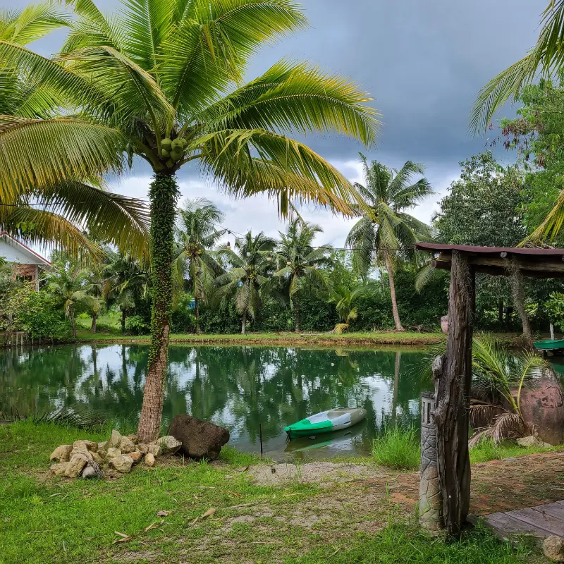 Baan Namsai tropical garden